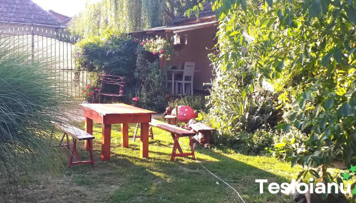 Covasint Telefon - Covăsinţ
