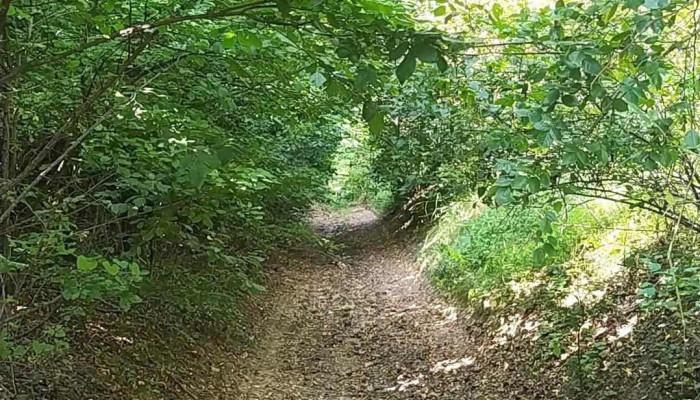 Covasna -  Deschis Acum - Covasna