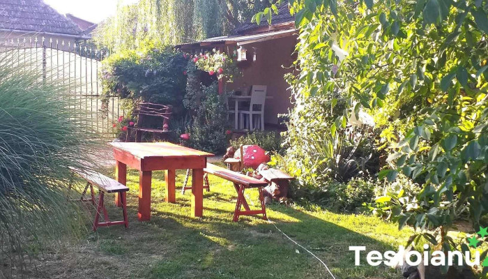 Covăsinţ - Covăsinţ