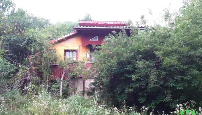 Cozieni -  Adresă - Cozieni