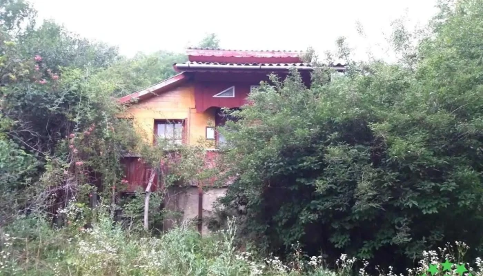 Cozieni - Cozieni