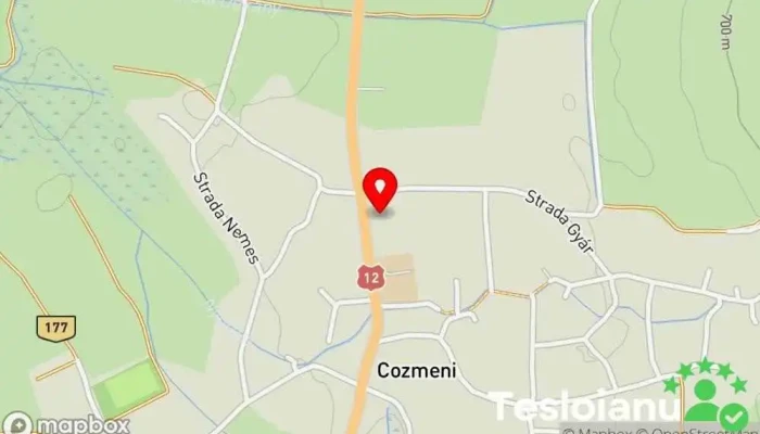hartă a Cozmeni  în Cozmeni