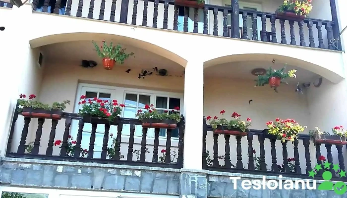 Craita Exterior - Teșila