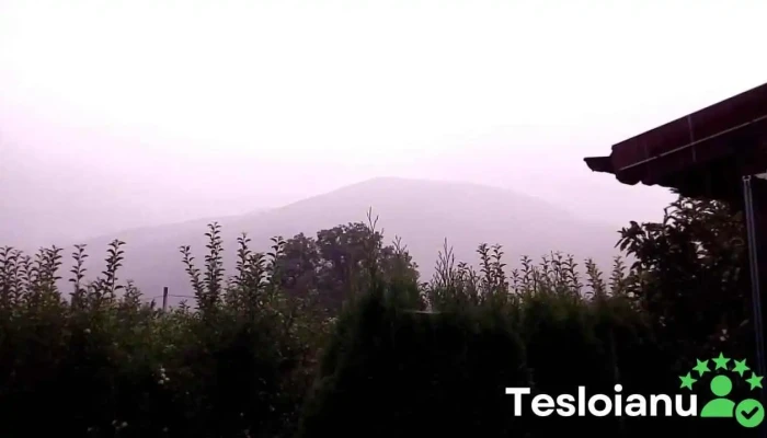 Craita Videoclipuri - Teșila