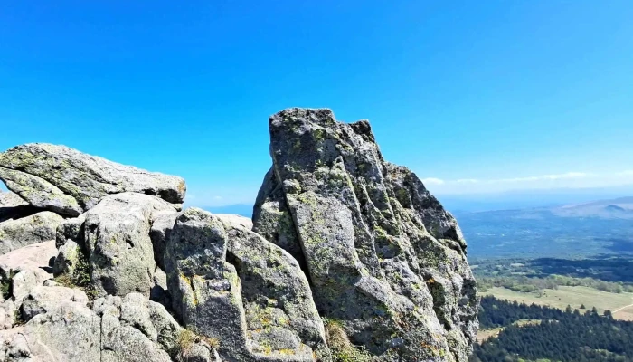 Creasta Cocosului Aproape De Mine - Romania