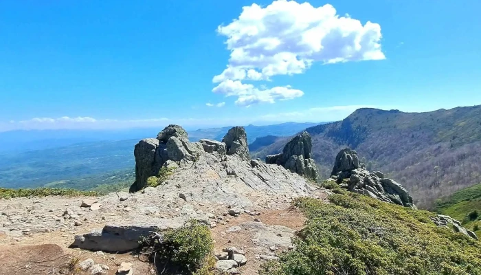 Creasta Cocosului Fotografii - Romania
