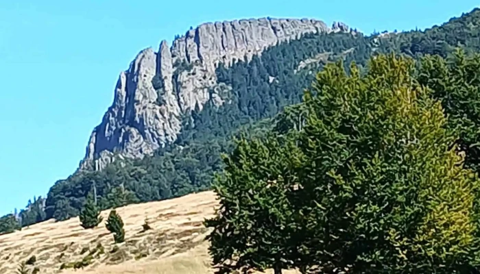 Creasta Cocosului Locație - Romania