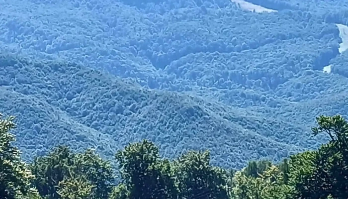 Creasta Cocosului Romania - Romania