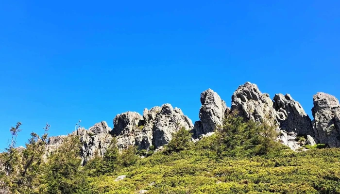 Creasta Cocosului Zonă - Romania