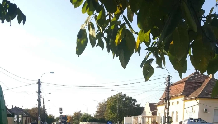 Crenguta Market Srl -  Promoție - Vinga