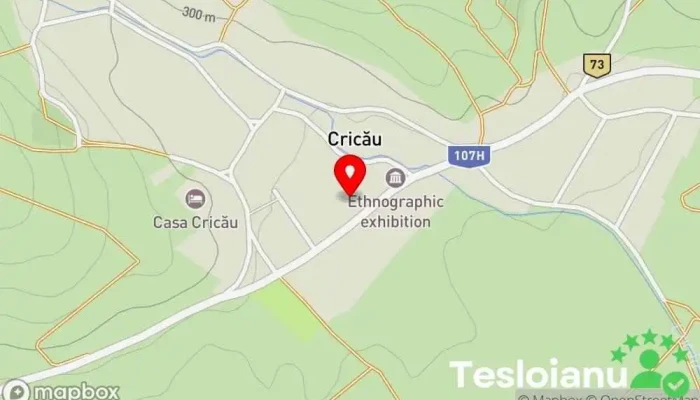 hartă a Cricău  în Cricău