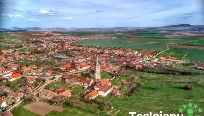 Cricau Instagram - Cricău