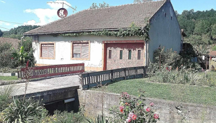 Criciova -  Promoție - Criciova