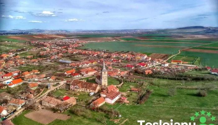 Cricău - Cricău