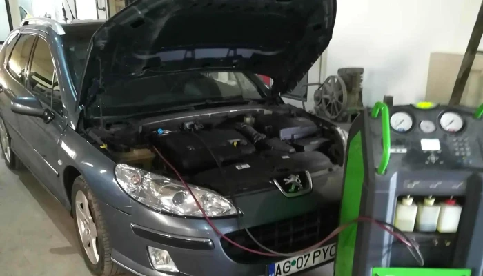 Crisdan Top Service -  Adresă - Purcăreni