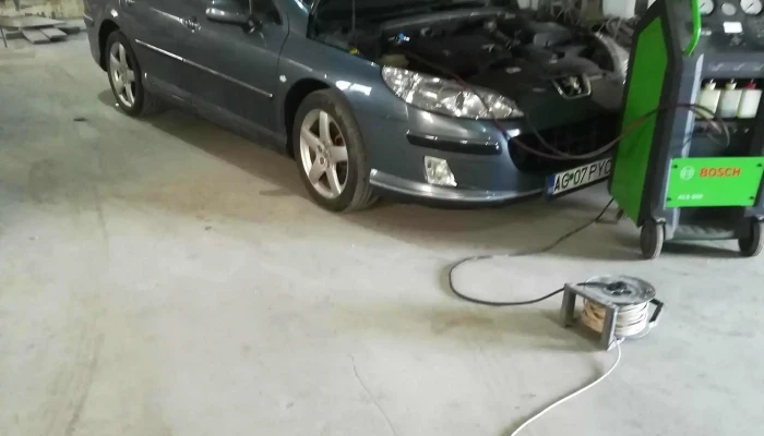 Crisdan Top Service -  Comentarii - Purcăreni