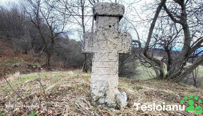 Crucea -  Program - Cozieni
