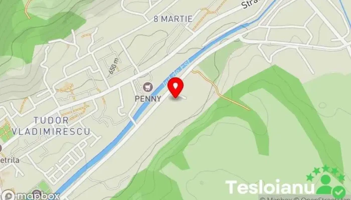 hartă a CTI AUTO Service auto în Petrila