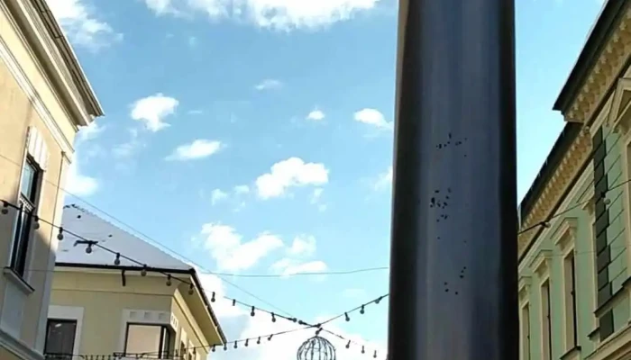 Cuiul -  Videoclipuri - Sighetu Marmației