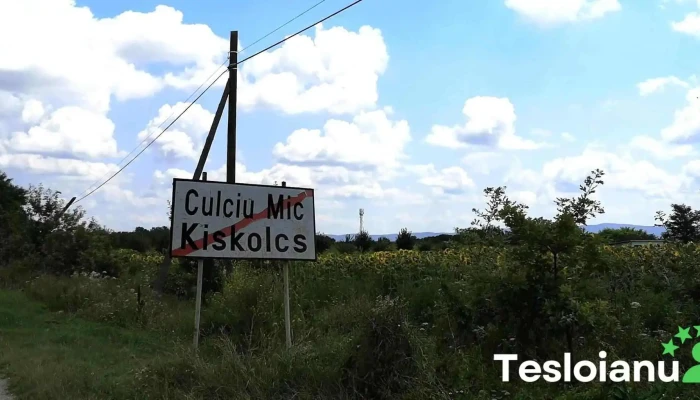 Culciu Mic -  Aproape De Mine - Culciu Mic