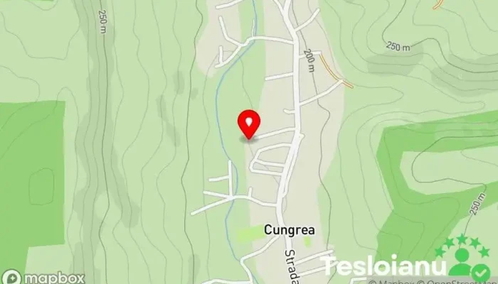Cungea - Cungea
