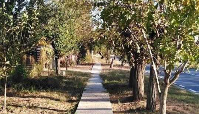 Curcani - Curcani