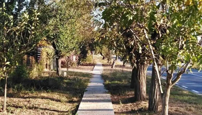 Curcani -  Deschis Acum - Curcani