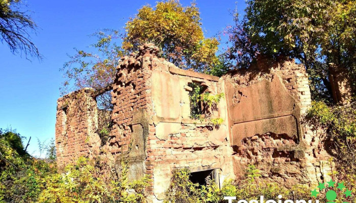 Curpenii Silvașului - Toplița