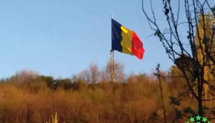 Curtișoara - Curtișoara