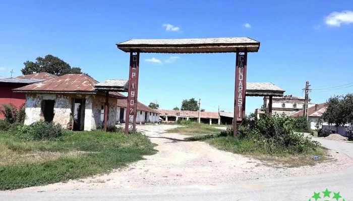 Căldărăşti - Căldărăşti