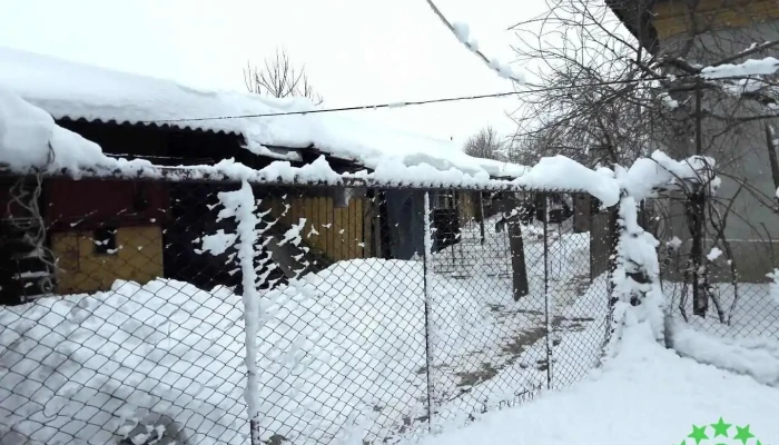 Călineşti - Călineşti