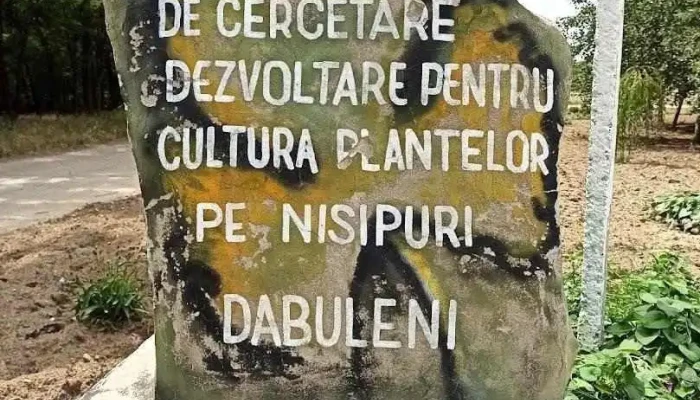 Călărași - Călărași