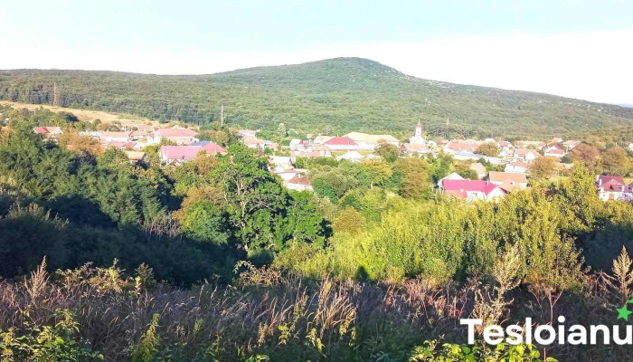 Cărbunari - Cărbunari
