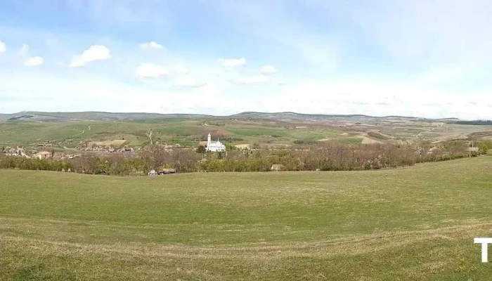 Cătina - Cătina