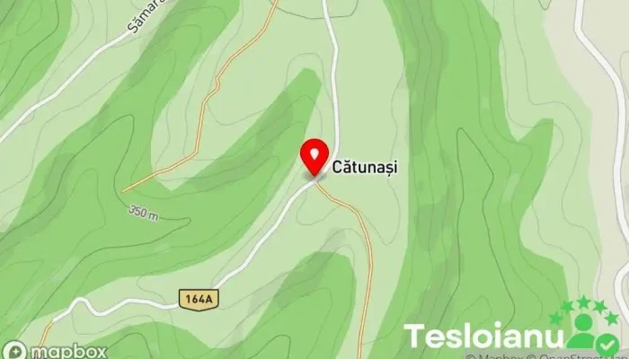 Cătunași - Cătunași