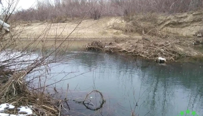 Cătunu - Cătunu