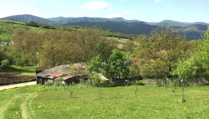Dalboset Telefon - Dalboşeţ