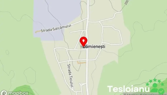 hartă a Dămienești  în Dămienești