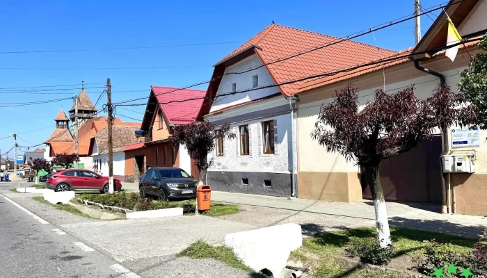 Danes Cele Mai Recente - Daneș
