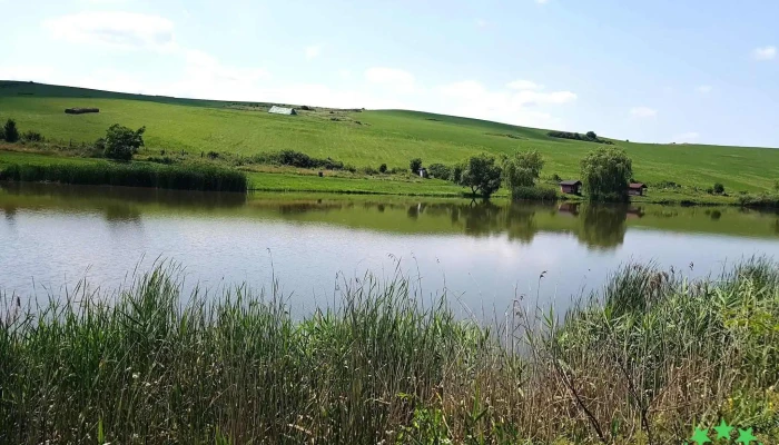 Darvastau -  Recenzii - Romania