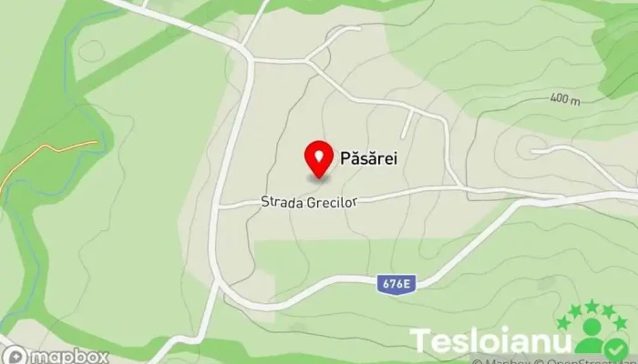 hartă a Dealu Aluniş  în Dealu Aluniş
