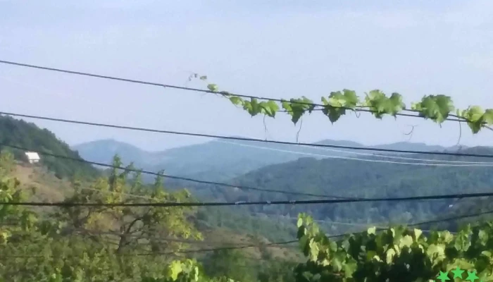 Dealu Frumos -  Scor - Dealu Frumos