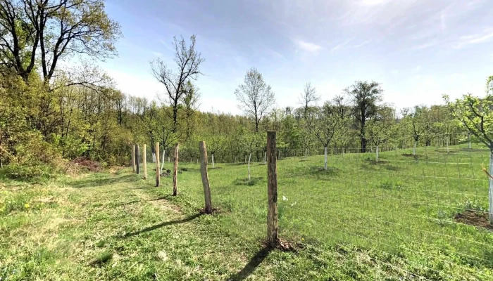 Dealu Launele Street View Si 360deg - Dealu Lăunele