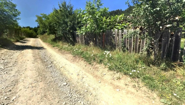 Dealu -  Street View Si 360deg - Dealu
