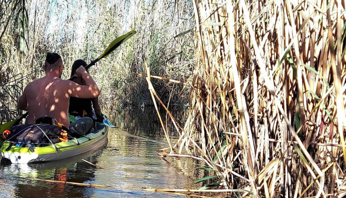 Debarcader Lebada Unde - Budeni