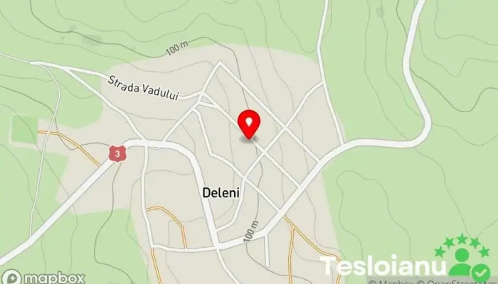 hartă a Deleni  în Deleni