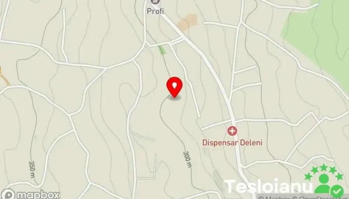 hartă a Deleni  în Deleni