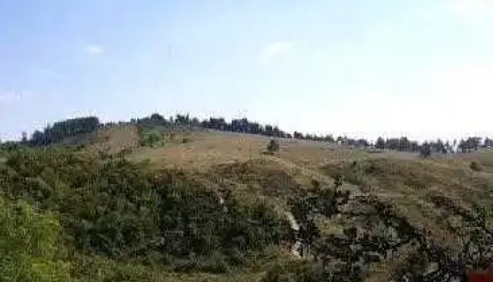 Deleni -  Videoclipuri - Deleni