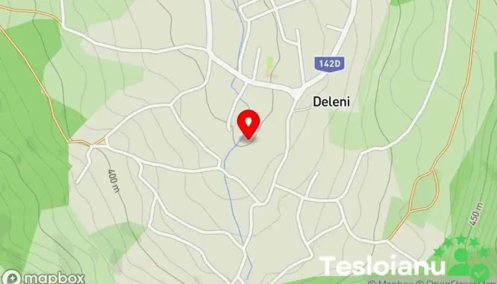 hartă a Delenii  în Delenii