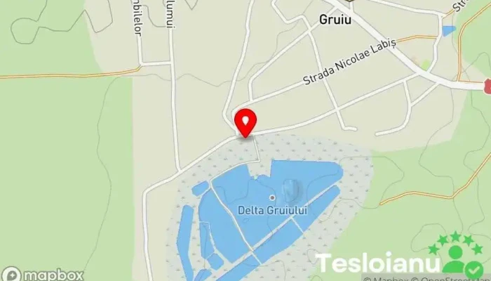 hartă a Delta Gruiului Lac de pescuit, Centru de recreere în Gruiu